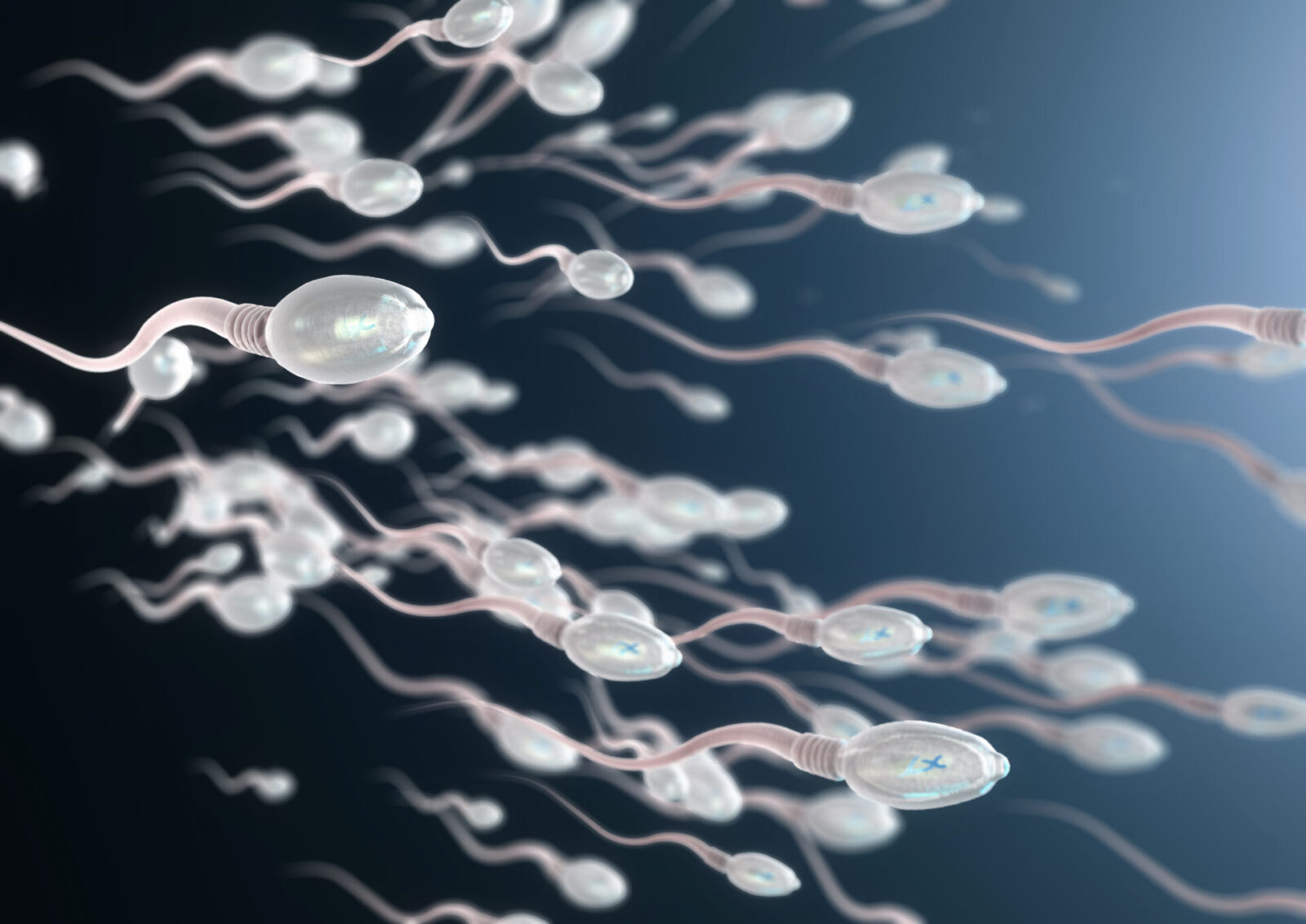 Can treatement against sperm