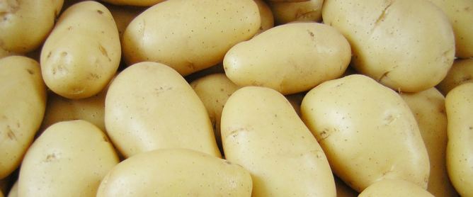 Cheap, and widely available in most countries of the world all year round, Potatoes make an ideal source of power.