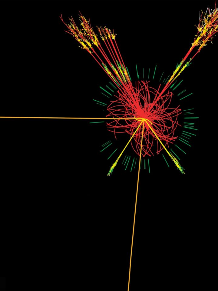 CERN scientists believe they've found the Higgs boson.