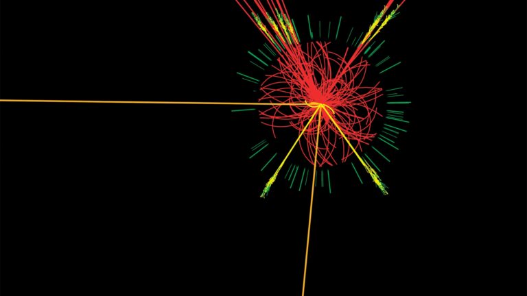 CERN scientists believe they've found the Higgs boson.