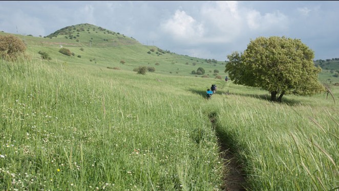 A trail cuts through the Golan Heights in northern Israel. (Asaf Eliason/Shutterstock.com)