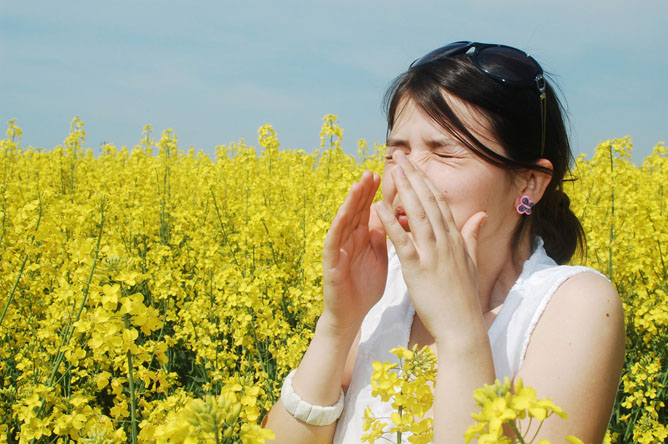 Israeli researchers hope to stop allergic reactions before they start. (Alex Cofaru/Shutterstock.com)