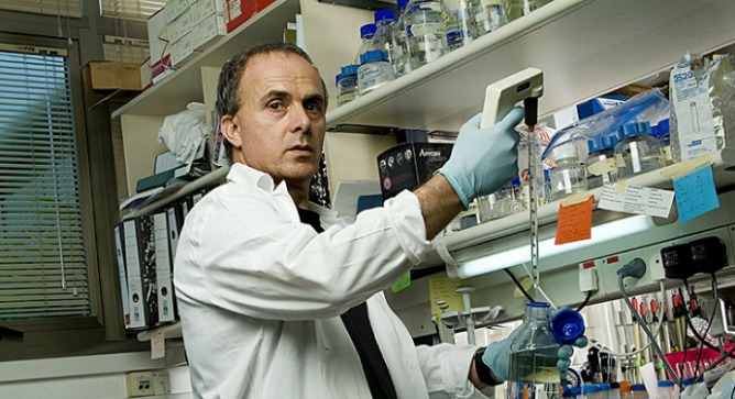 Prof. Yosef Yarden in his Weizmann lab.
