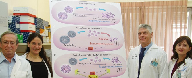From left, Prof. Benjamin Sredni, Lital Kalich-Philosoph, Prof. Dror Meirow and Dr. Hadassa Roness with a diagram of what happens in the ovaries during chemo combined with AS101. Photo courtesy of Sheba Medical Center