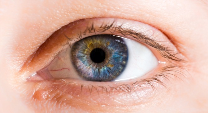 Turning touch into vision. Photo via Shutterstock.com