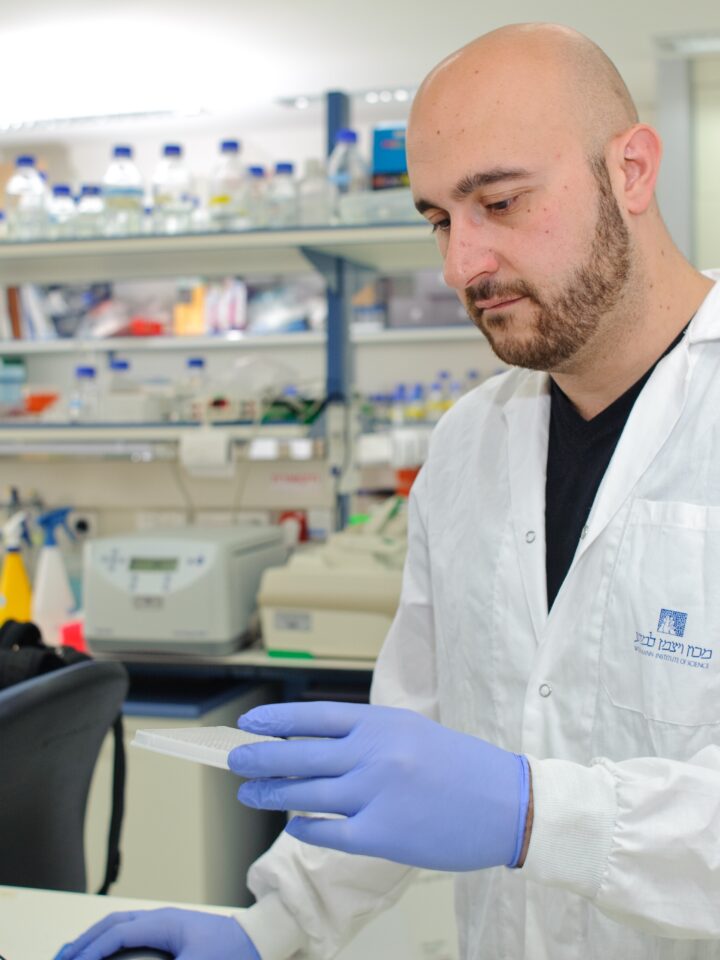 Weizmann Institute’s Dr. Yaqub Hanna and his team say the MBD3 protein could be the key to stem-cell reprogramming.