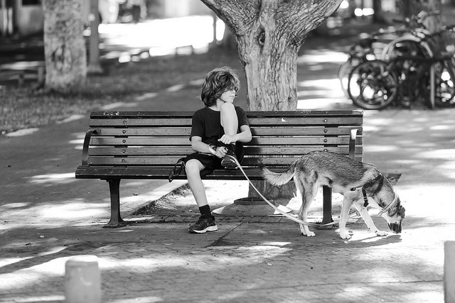 A boy takes a rest from walking his dog on Tel Avivâ€™s trendy Rothschild   Boulevard.