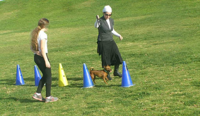 A Dogs for People guide shows a client how to do agility training.