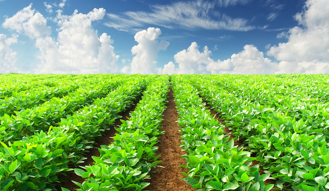 Taking the guesswork out of farming. Image via Shutterstock.com