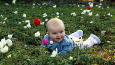 Wildflowers are a great backdrop for baby photos. This was taken in field of anemones in the Jezreel Valley by Yossi Zamir/FLASH90.