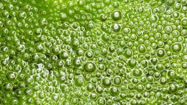 Slime is making millions of people sick every year. Photo via www.shutterstock.com