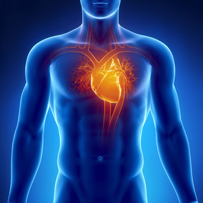 Novel biocompatible cardiac patch comprises  gold nanoparticles. (Shutterstock)