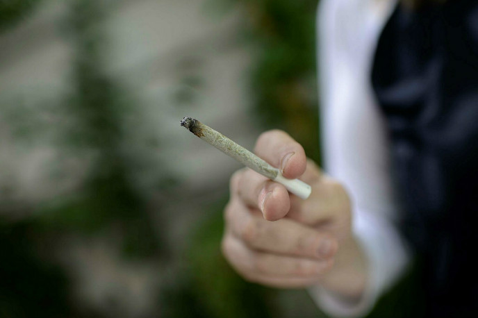 Marijuana has been permitted for medical use in Israel since the 1990s. Photo by Flash90.