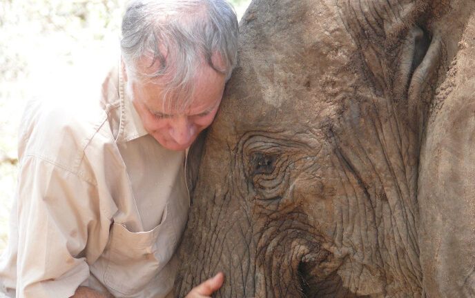 Bill Clark with Wendi, an elephant orphaned by poachers a day after her birth in Meru National Park, Kenya, 15 years ago. She was adopted by the Sheldrick elephant orphanage and successfully reintroduced to the wild. Photo by Nir Kalron