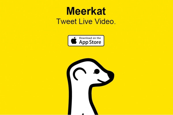 Meerkat took Twitter by storm before a setback.