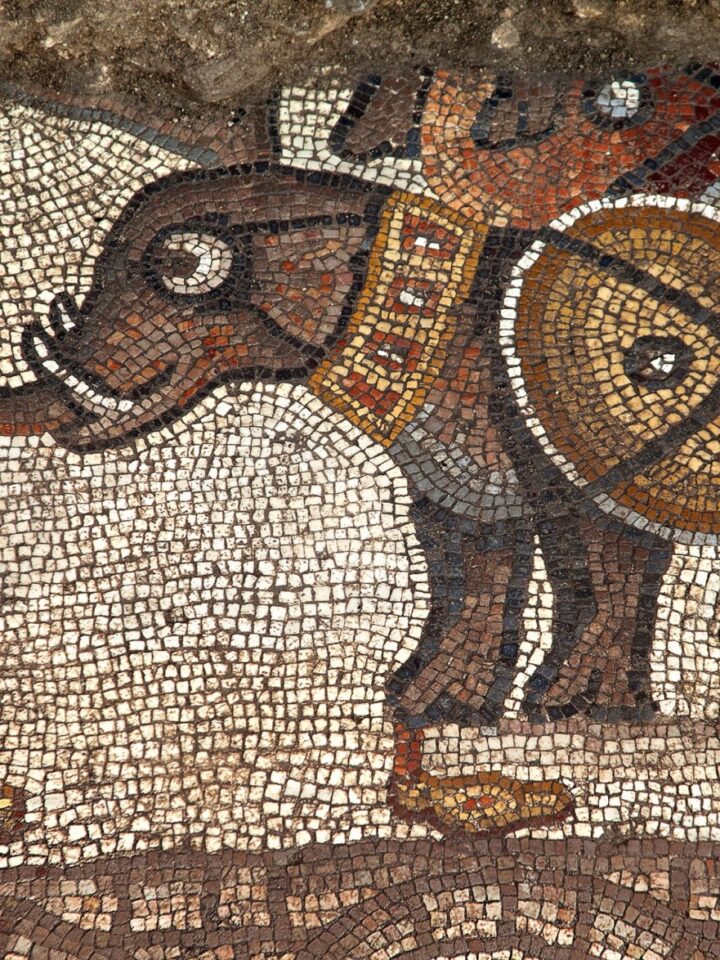 An elephant decorates the 5th century mosaic. 
Credit: Jim Haberman