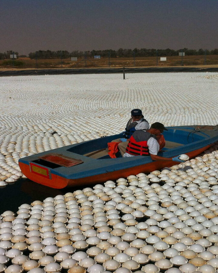 These aren’t ordinary plastic balls. They do much more than shade the water. Photo courtesy NeoTop Water Systems