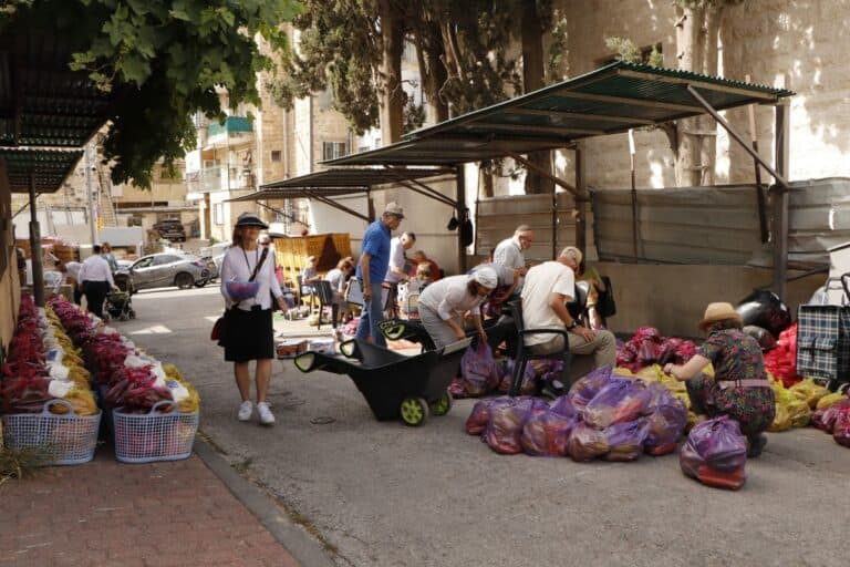 10 ways to help society on your holiday in Israel