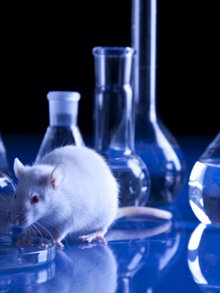 No more lab rats? Image via Shutterstock.com