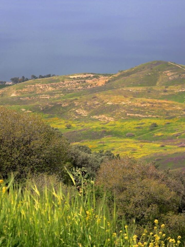 Photo of Golan Trail by Israel Eshed