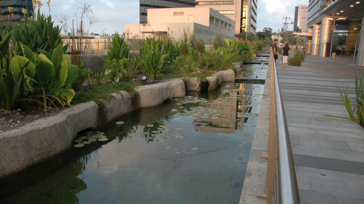 Graywater from a Tel Aviv apartment house is treated for reuse in this Ayala landscape element on the grounds. Photo: courtesy