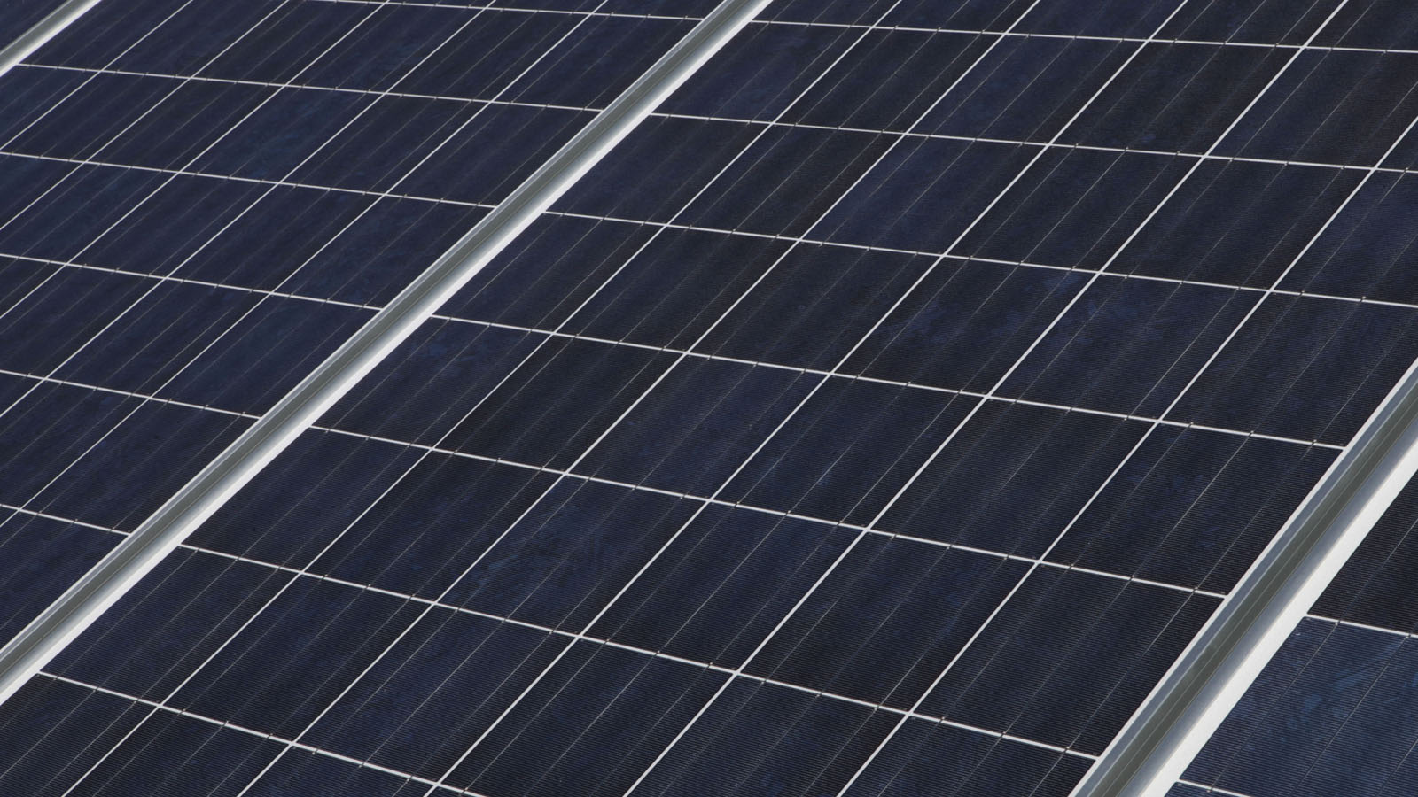 Enlight Renewable Energy's solar park has 180,000 panels. Photo by Nati Shohat/Flash90