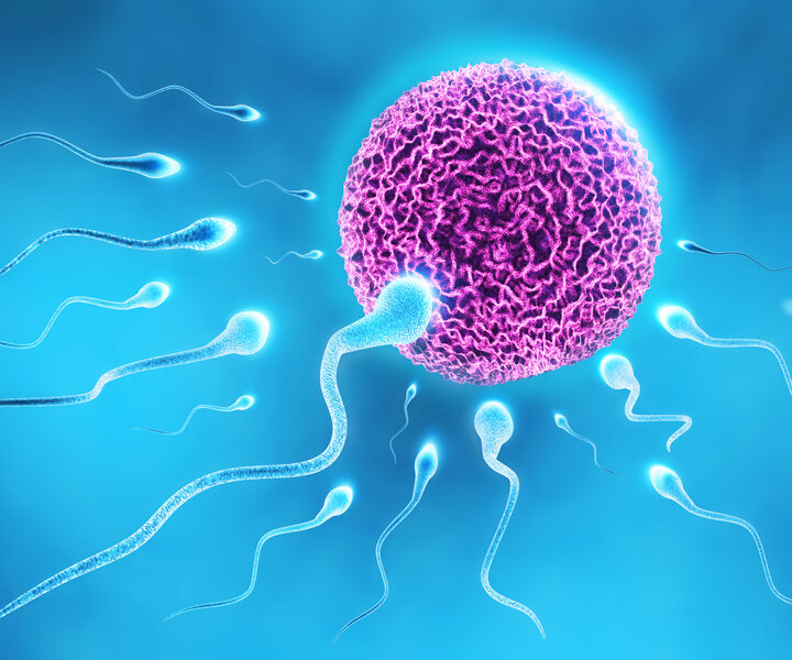'Some of the best sperm candidates are slow or even immobile.' Photo by Shutterstock.com