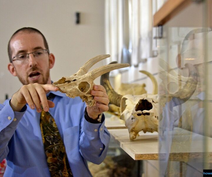 Museum director Natan Slifkin included animal skulls and bones in the collection at the Biblical Museum of Natural History. Photo by Howard Gordon