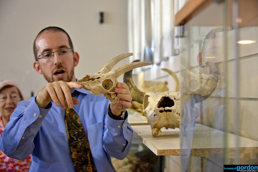 Museum director Natan Slifkin included animal skulls and bones in the collection at the Biblical Museum of Natural History. Photo: courtesy