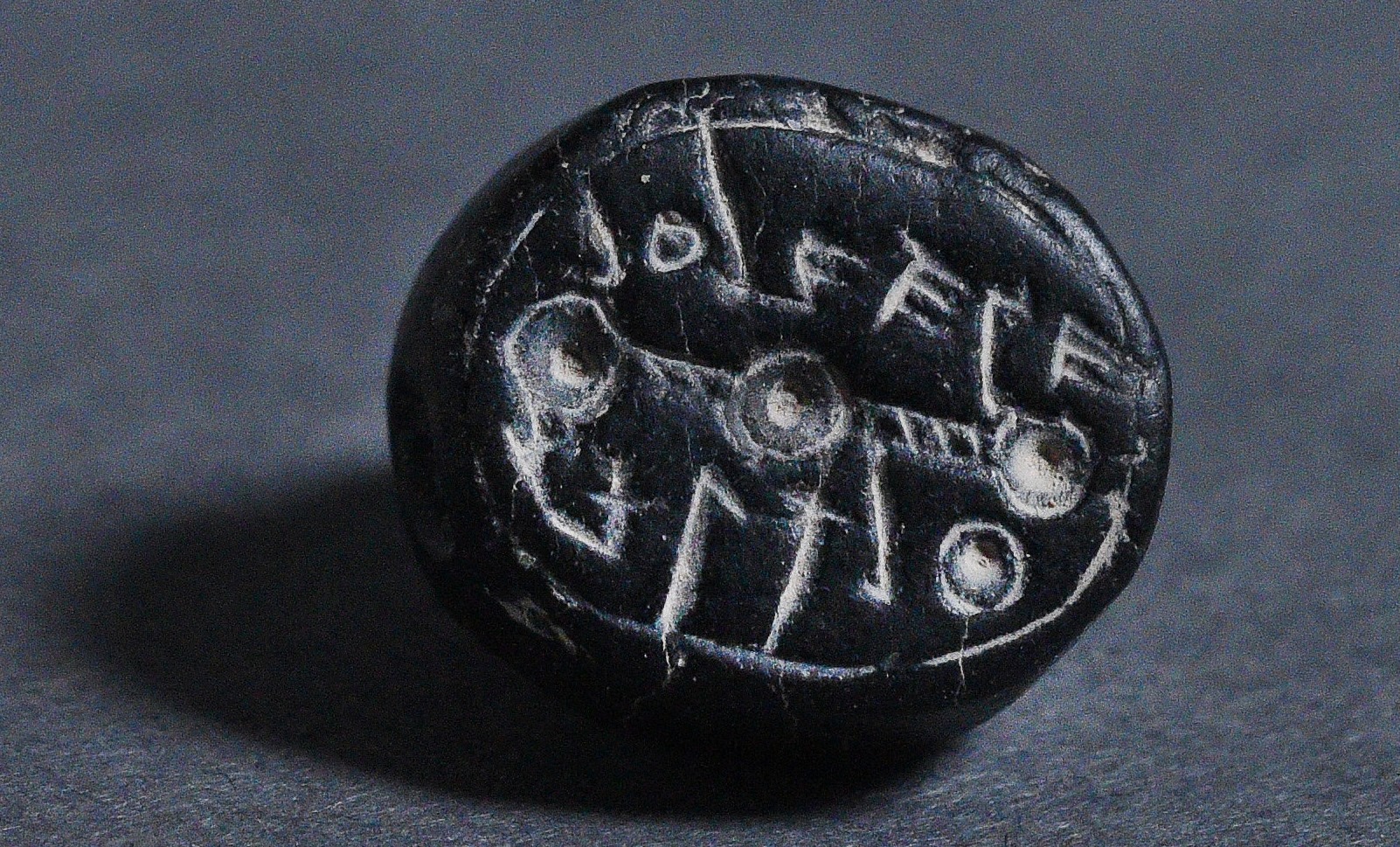 A 2,500-year-old seal bearing the inscription “to Elihana bat Gael.” Photo by Clara Amit/Israel Antiquities Authority