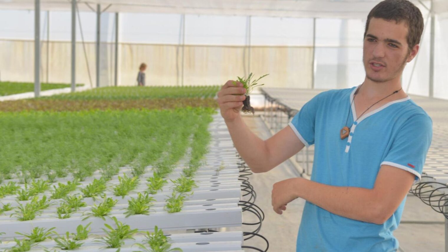 Tohar, a young Kaima farmer, explaining hydroponics to a visitor at Kaima’s new hydroponic greenhouse at the Jerusalem Botanical Gardens. Photo by Judith Harpaz