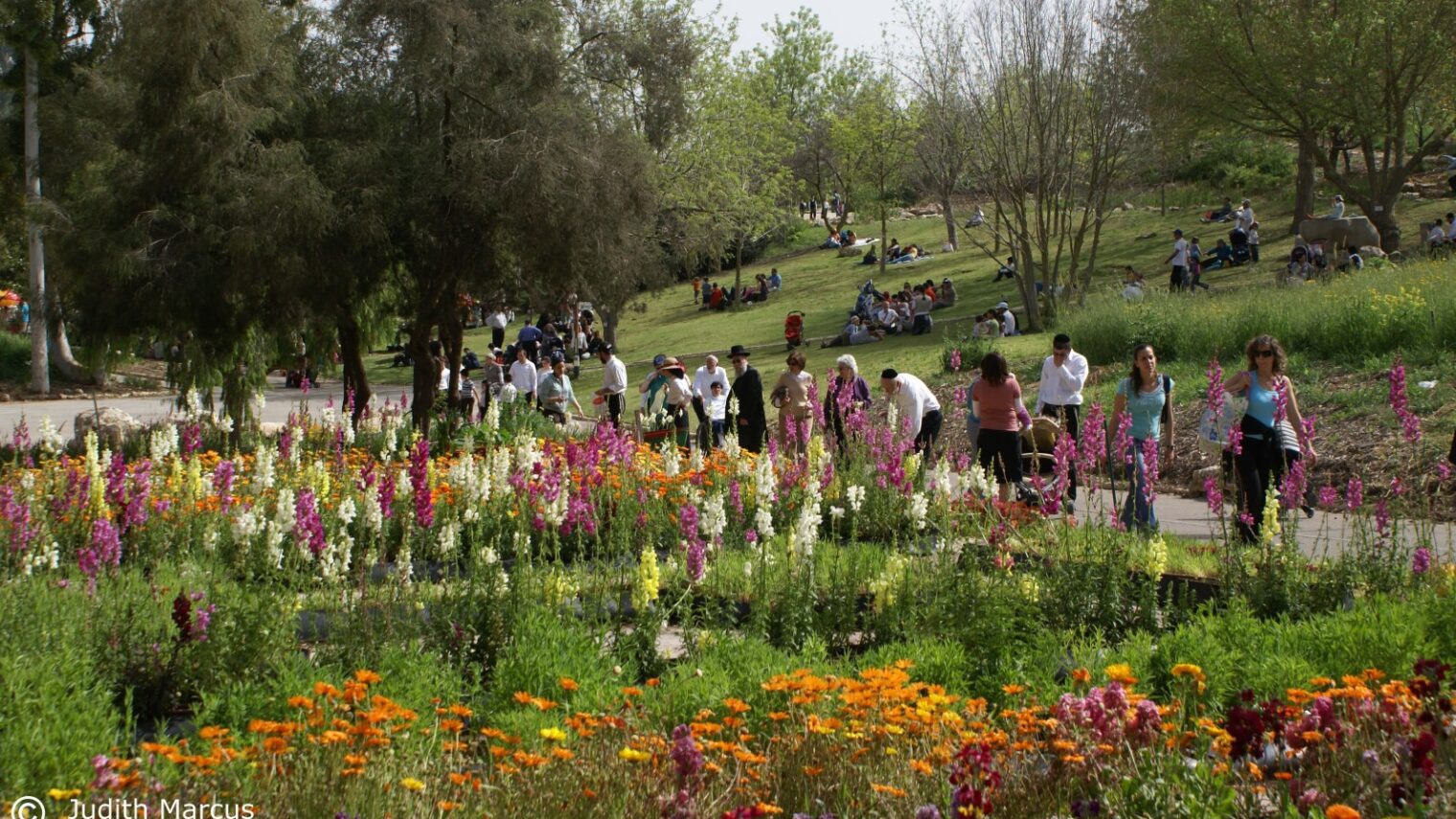 Visitors enjoying the Jerusalem Botanical Gardens last April. Photo by Judith Marcus