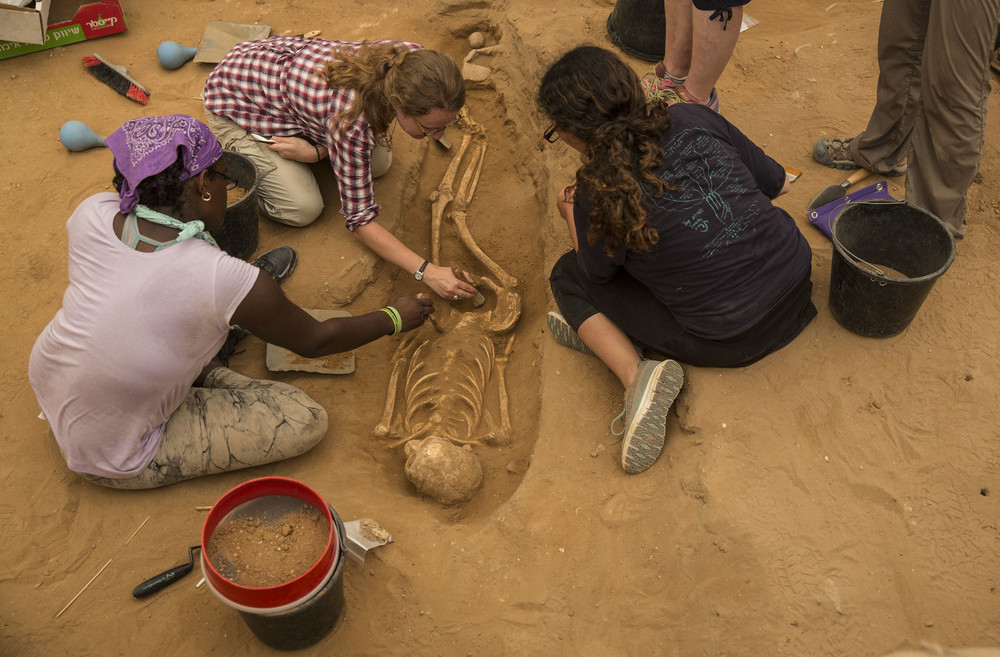 Students working in the Philistine cemetery discovered in Ashkelon. Photo by Tsafrir Abayov/Leon Levy Expedition