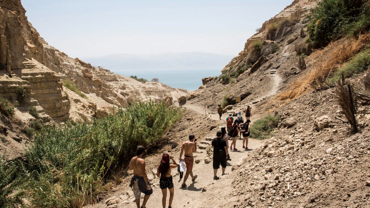 Hikers at the Ein Gedi Nature Reserve near the Dead Sea. Photo by Zack Wajsgras/Flash90
