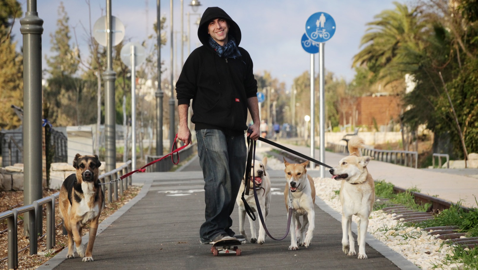 A Jerusalem dog-walker. Photo by Yossi Zamir/FLASH90