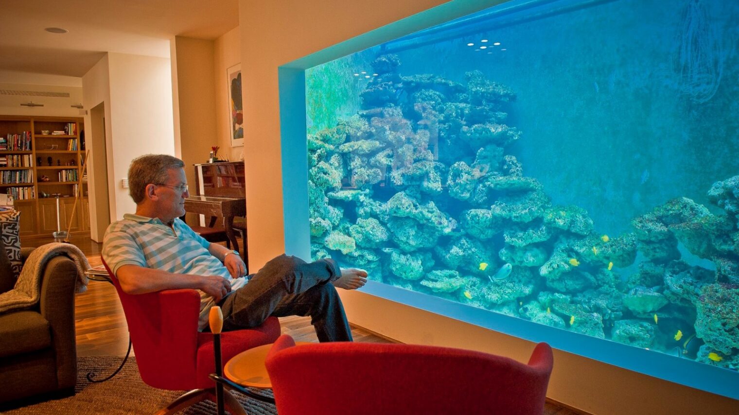Toerist Wereldvenster Ter ere van The Israeli who swims in his living room - ISRAEL21c