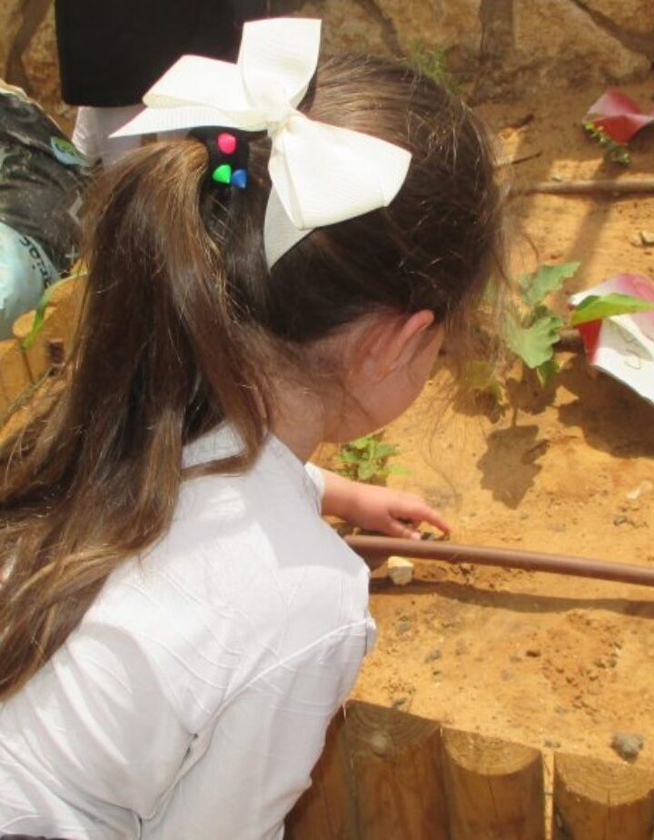 A kindergartner tending the drip-irrigation system. Photo courtesy of Leshomra