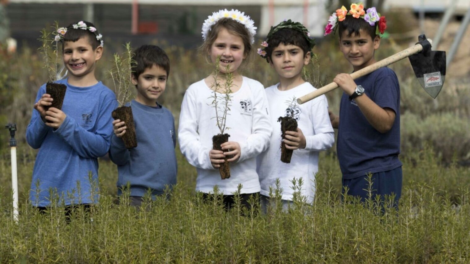 Israeli children planting trees in KKL-JNF nurseries on Tu B'Shvat, the New Year for Trees. Photo by Yossi Aloni