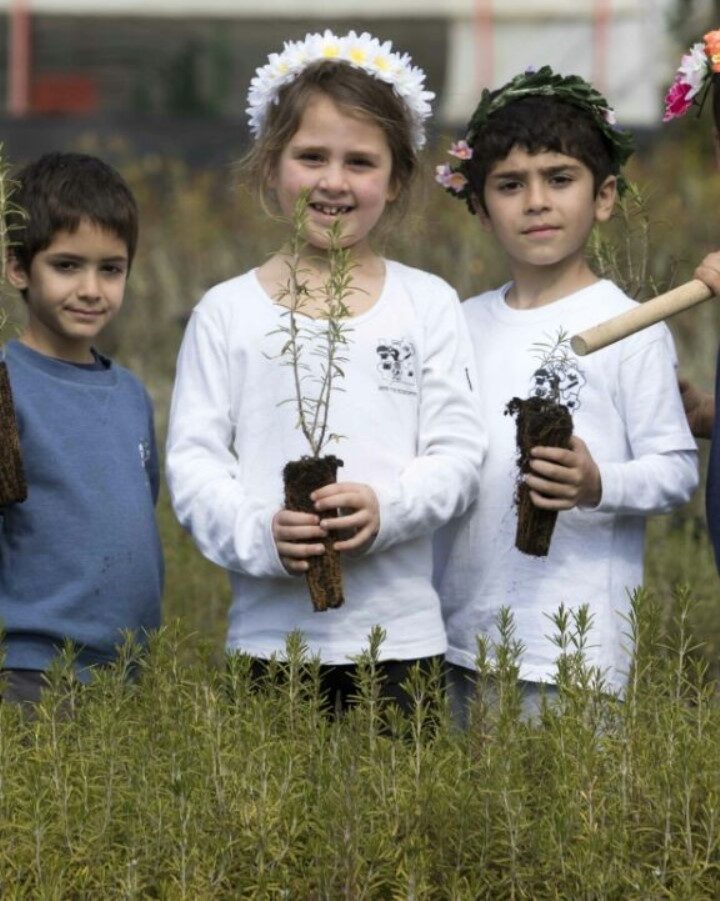 Israeli children planting trees in KKL-JNF nurseries on Tu B'Shvat, the New Year for Trees. Photo by Yossi Aloni