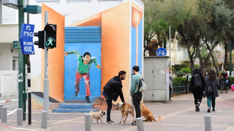Tel Aviv has 25,000 registered hounds – that’s one pooch to every 17 human city-dwellers. The city claims it is the highest per-capita ratio of dogs to people in the world. Photo by Flash90