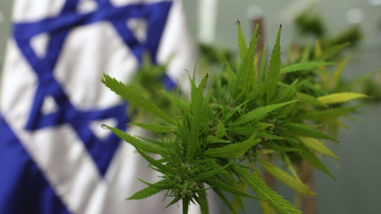 Photo illustration of Israel’s medical marijuana industry by Kobi Gideon/FLASH90