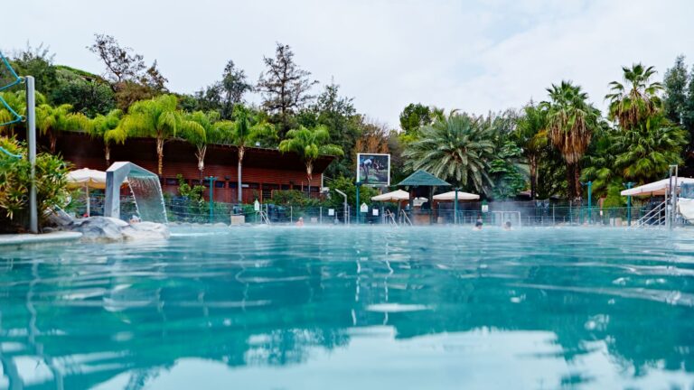 Hamat Gader, a varied tropical parkland and amusement center near the Sea of Galilee. Photo: courtesy