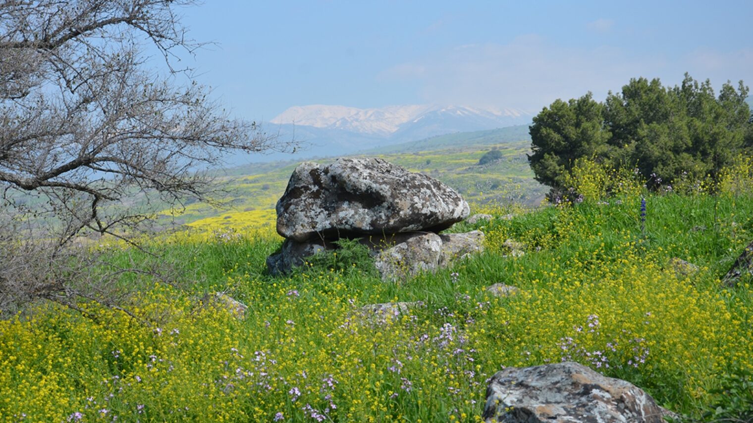 The 4,000 year old dolmen found on Kibbutz Shamir. Photo by Gonen Sharon/Tel Hai College