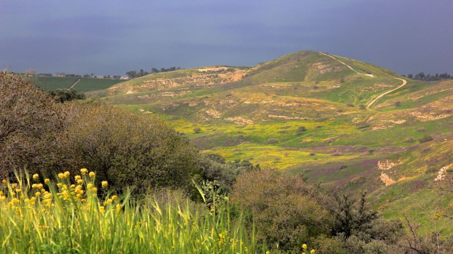 Because there are amazing walking trails. The Golan Trail. Photo by Israel Eshed