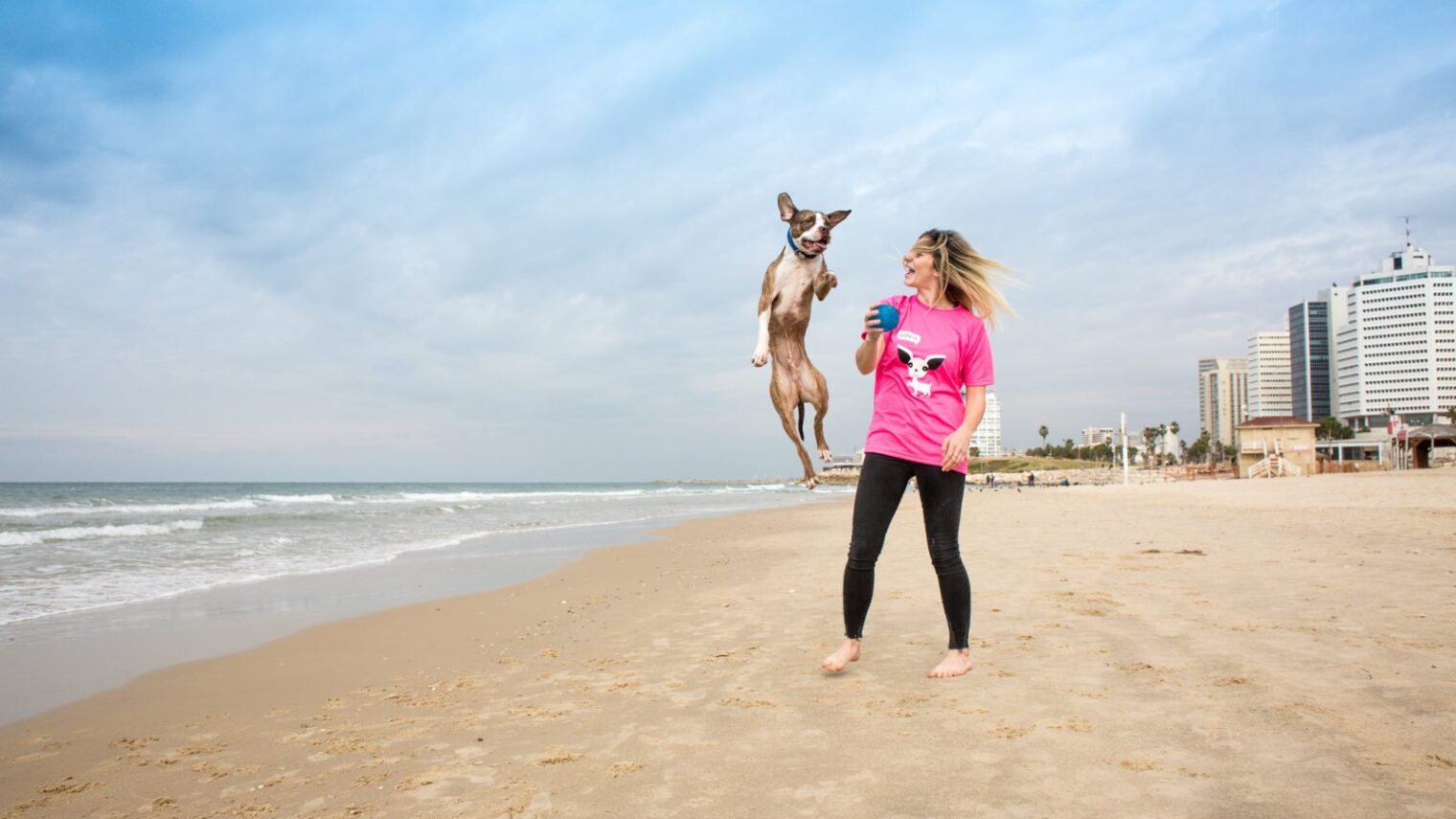 Because people in Israel are crazy about dogs. Photo courtesy of Tel Aviv municipality