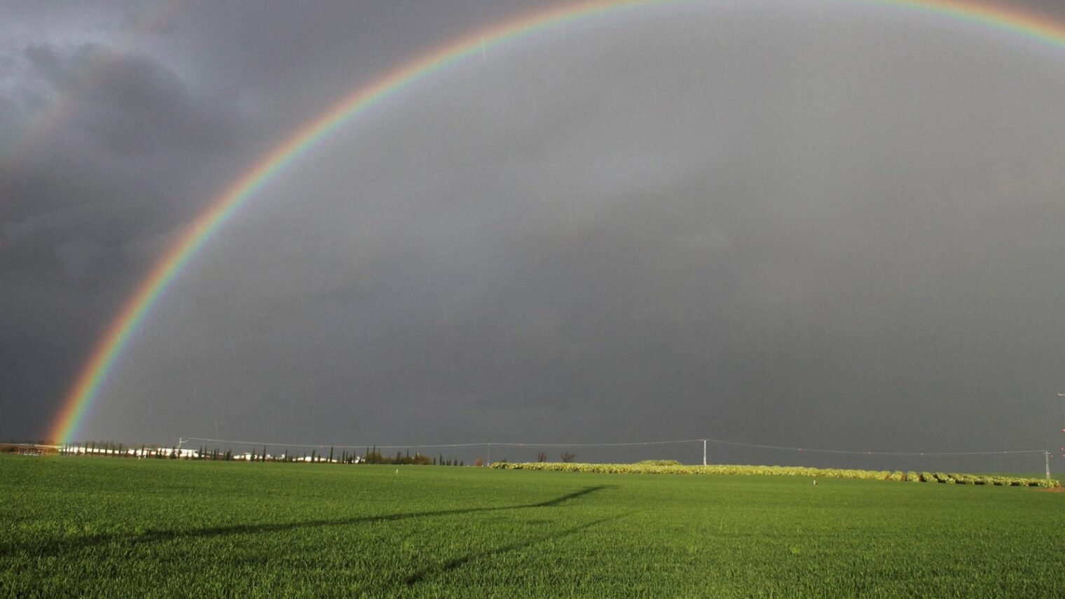 Because Israel has more rainbows than many other countries. A rainbow over a wheat field near Kfar Harif, in southern Israel. Photo by Gershon Elinson/FLASH90