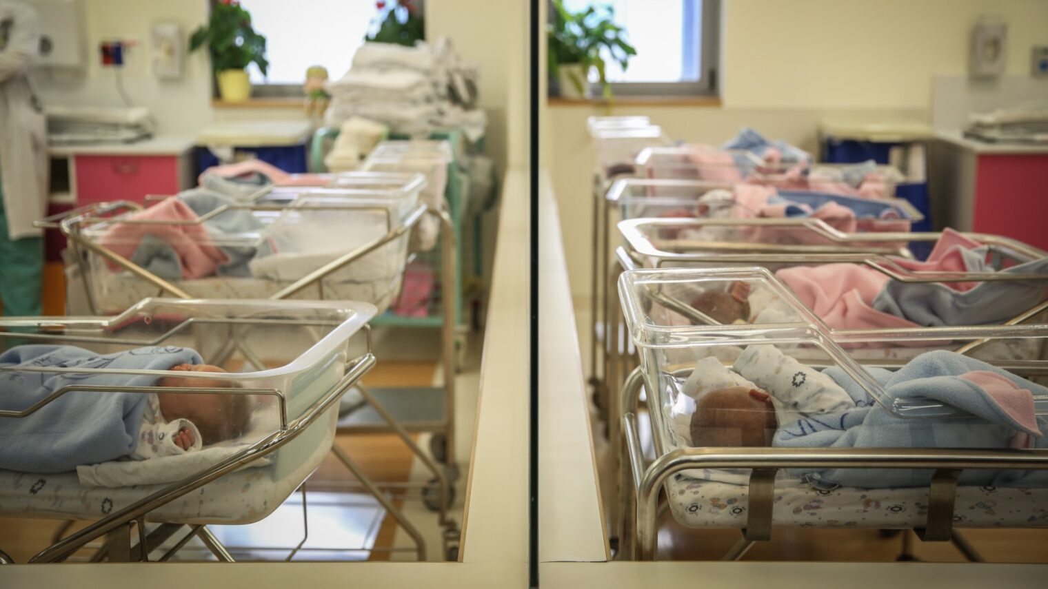Premature babies in an Israeli hospital. Photo by Hadas Parush/FLASH90