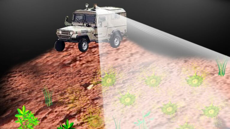 Possible application of a system to detect buried landmines using a bacterial sensor. Image courtesy of Hebrew University