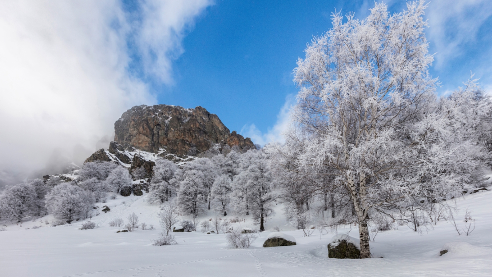 Winter scenery affects our cognitive control. Image by Evgord/Shutterstock.com