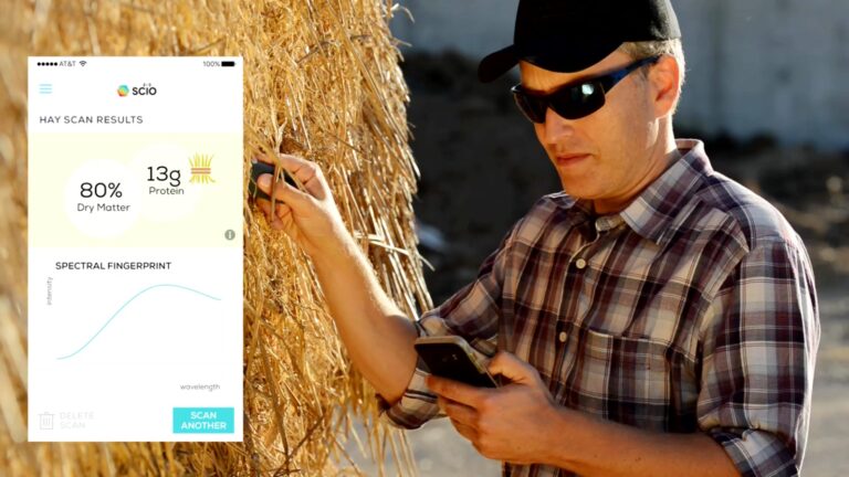 Feed industry real-time analysis. Photo courtesy